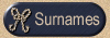 Surnames ONLY Index